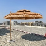 UMB04 - Image 3