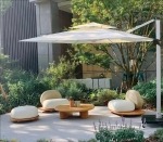 Neroli - Image 5
