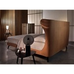 Tawny - Image 3