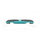 Balance Plate - Image 8