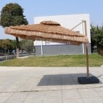 UMB04 - Image 2