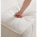 Extrasoft - Image 3