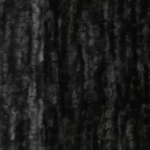 JC838-15